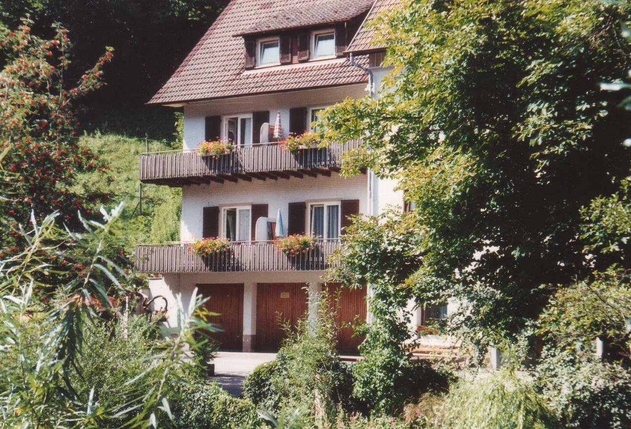 Adieu Alltag: Pension Oesterle Im Schwarzwald Schonmunzach エクステリア 写真