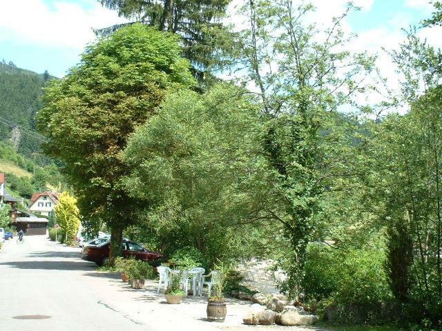 Adieu Alltag: Pension Oesterle Im Schwarzwald Schonmunzach エクステリア 写真