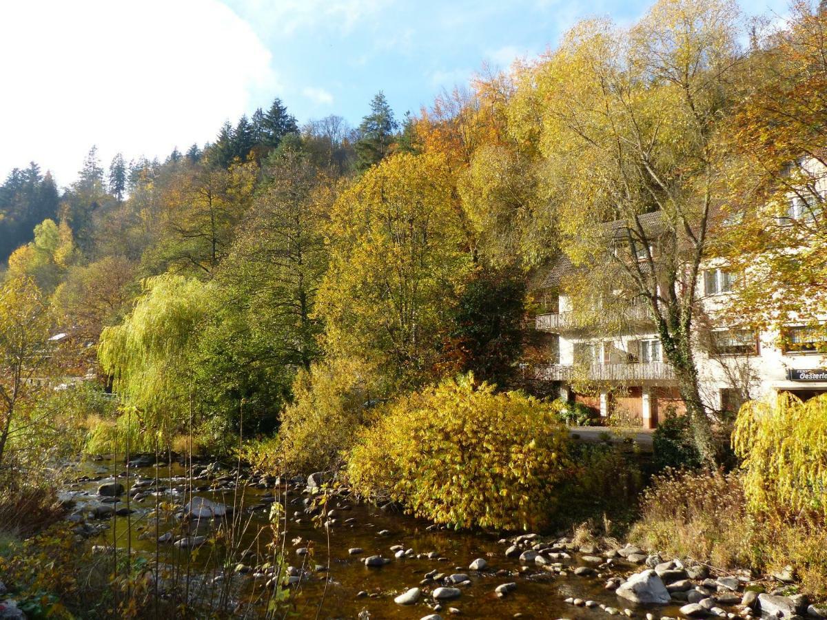 Adieu Alltag: Pension Oesterle Im Schwarzwald Schonmunzach エクステリア 写真