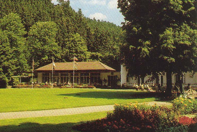 Adieu Alltag: Pension Oesterle Im Schwarzwald Schonmunzach エクステリア 写真