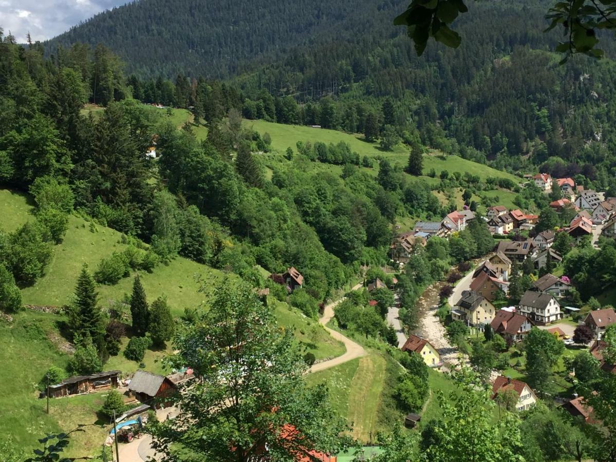 Adieu Alltag: Pension Oesterle Im Schwarzwald Schonmunzach エクステリア 写真