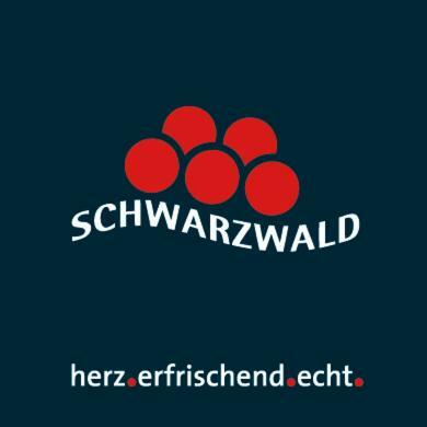 Adieu Alltag: Pension Oesterle Im Schwarzwald Schonmunzach エクステリア 写真